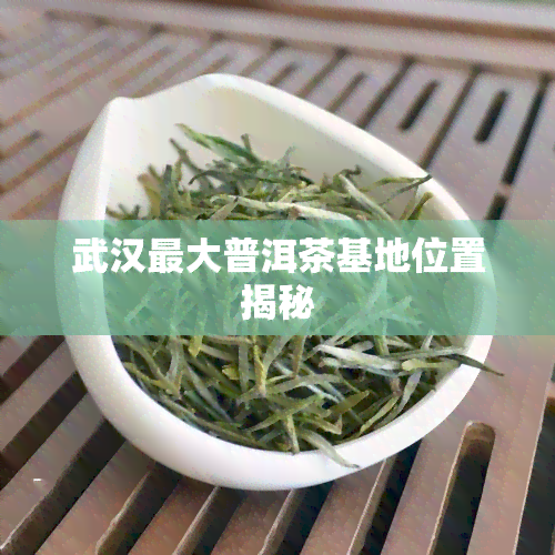 武汉更大普洱茶基地位置揭秘