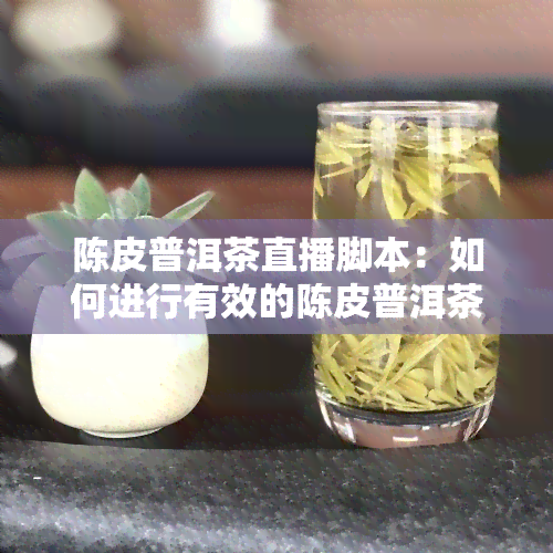 陈皮普洱茶直播脚本：如何进行有效的陈皮普洱茶直播？