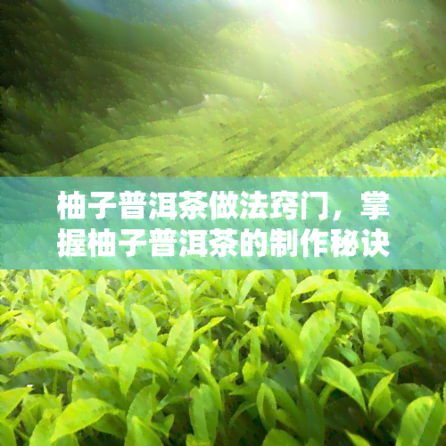 柚子普洱茶做法窍门，掌握柚子普洱茶的制作秘诀，轻松泡出美味健饮品