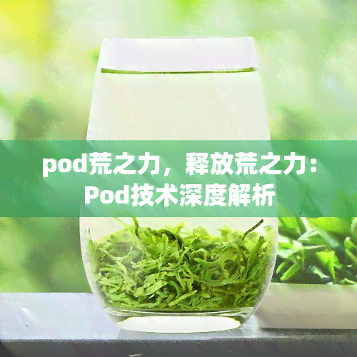 pod荒之力，释放荒之力：Pod技术深度解析