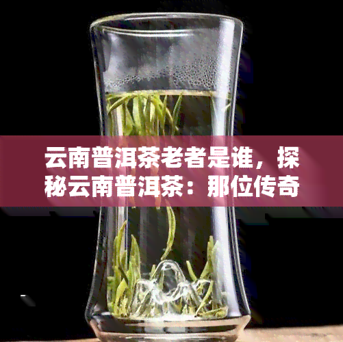 云南普洱茶老者是谁，探秘云南普洱茶：那位传奇的老者又是谁？