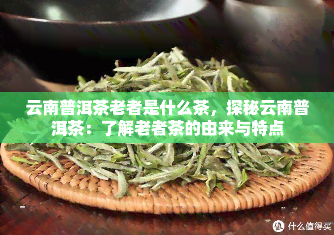 云南普洱茶老者是什么茶，探秘云南普洱茶：了解老者茶的由来与特点