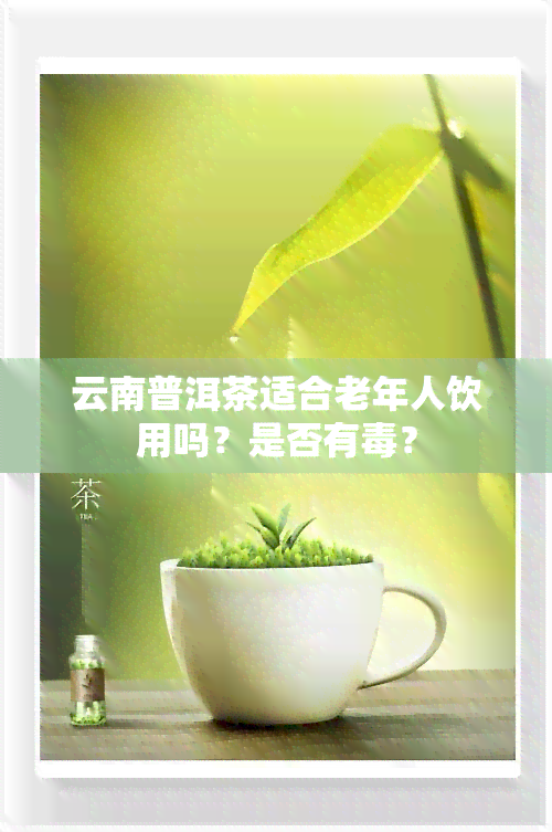 云南普洱茶适合老年人饮用吗？是否有？