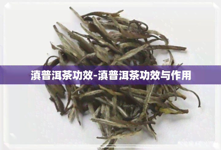 滇普洱茶功效-滇普洱茶功效与作用