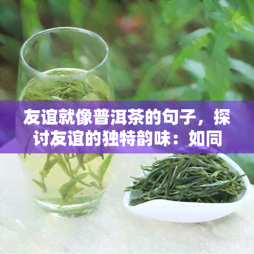 友谊就像普洱茶的句子，探讨友谊的独特韵味：如同品鉴普洱茶的过程