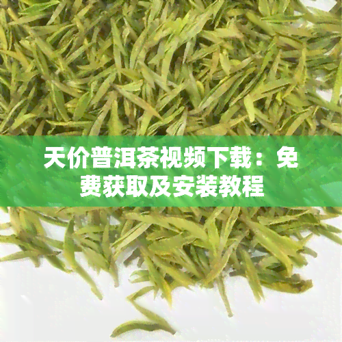 天价普洱茶视频下载：免费获取及安装教程