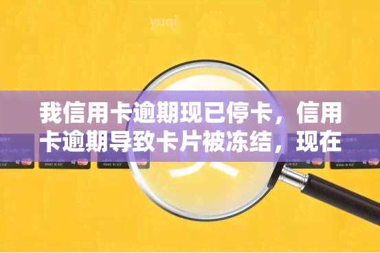 我信用卡逾期现已停卡，信用卡逾期导致卡片被冻结，现在需要解决