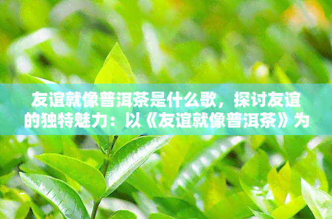 友谊就像普洱茶是什么歌，探讨友谊的独特魅力：以《友谊就像普洱茶》为例