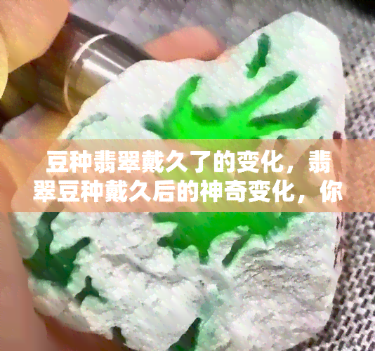 豆种翡翠戴久了的变化，翡翠豆种戴久后的神奇变化，你不知道的秘密！