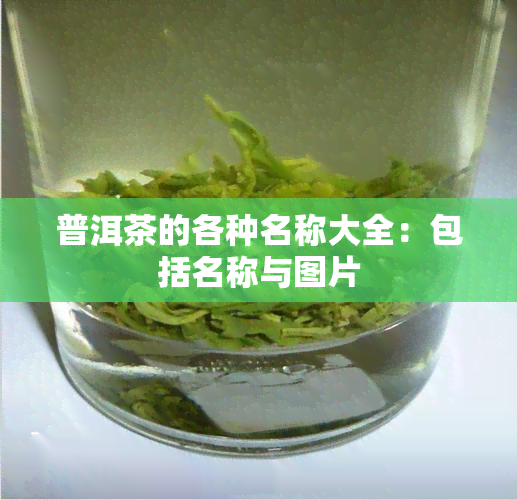 普洱茶的各种名称大全：包括名称与图片