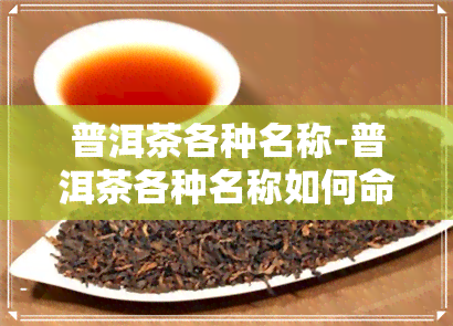 普洱茶各种名称-普洱茶各种名称如何命名出来