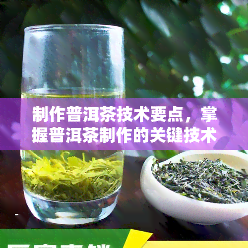 制作普洱茶技术要点，掌握普洱茶制作的关键技术要点