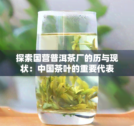 探索国营普洱茶厂的历与现状：中国茶叶的重要代表