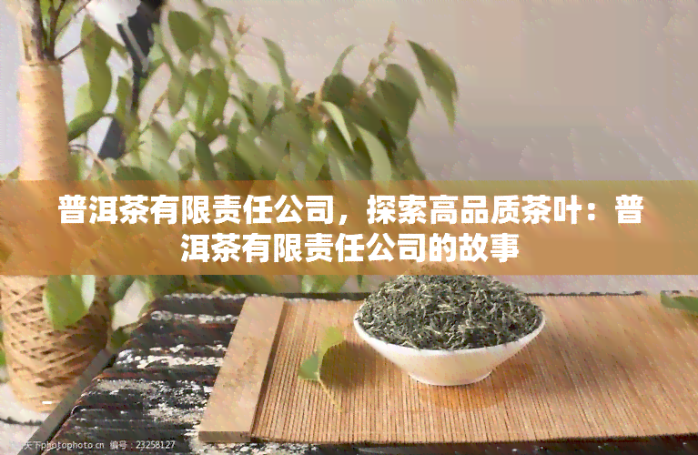 普洱茶有限责任公司，探索高品质茶叶：普洱茶有限责任公司的故事