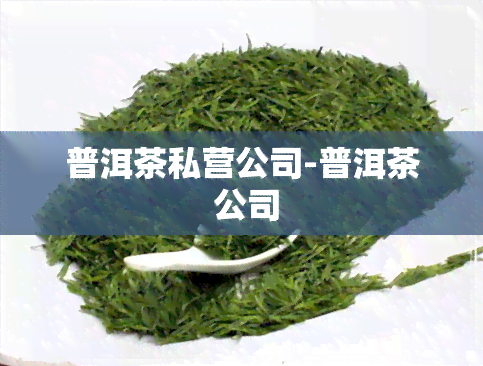 普洱茶私营公司-普洱茶 公司