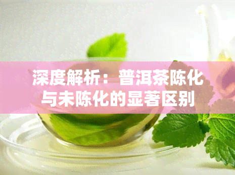 深度解析：普洱茶陈化与未陈化的显著区别