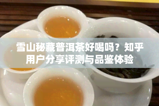 雪山秘藏普洱茶好喝吗？知乎用户分享评测与品鉴体验