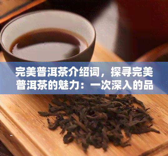 完美普洱茶介绍词，探寻完美普洱茶的魅力：一次深入的品鉴之旅