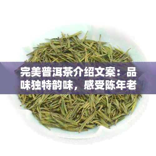 完美普洱茶介绍文案：品味独特韵味，感受陈年老茶的魅力