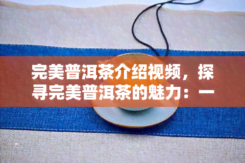 完美普洱茶介绍视频，探寻完美普洱茶的魅力：一场味蕾与视觉的宴！