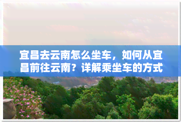 宜昌去云南怎么坐车，如何从宜昌前往云南？详解乘坐车的方式