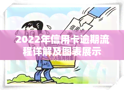 2022年信用卡逾期流程详解及图表展示