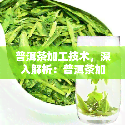 普洱茶加工技术，深入解析：普洱茶加工技术的关键步骤与方法