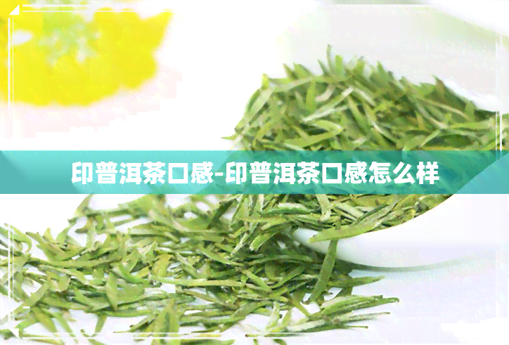 印普洱茶口感-印普洱茶口感怎么样