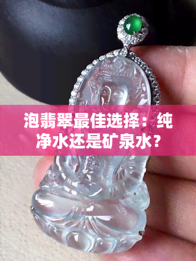 泡翡翠更佳选择：纯净水还是矿泉水？