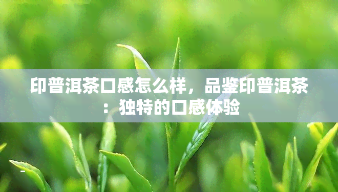 印普洱茶口感怎么样，品鉴印普洱茶：独特的口感体验