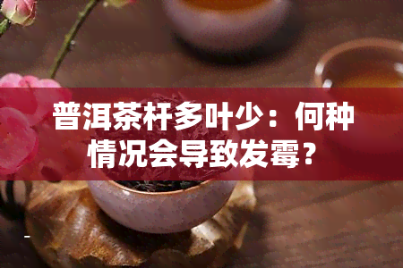 普洱茶杆多叶少：何种情况会导致发霉？