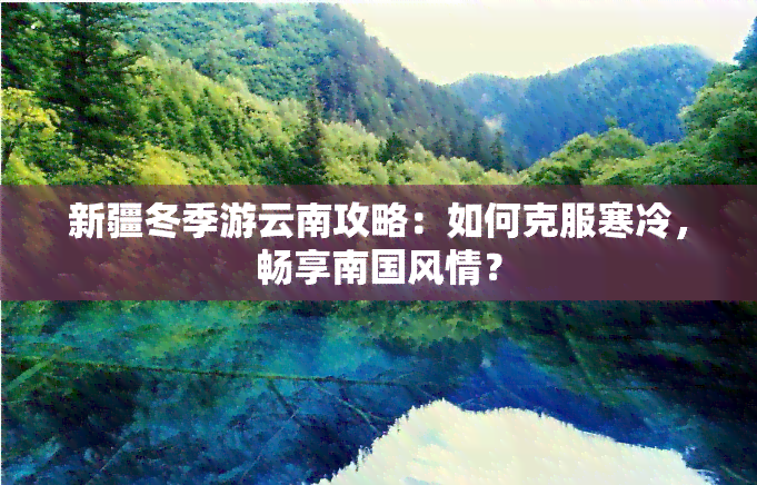 新疆冬季游云南攻略：如何克服寒冷，畅享南国风情？