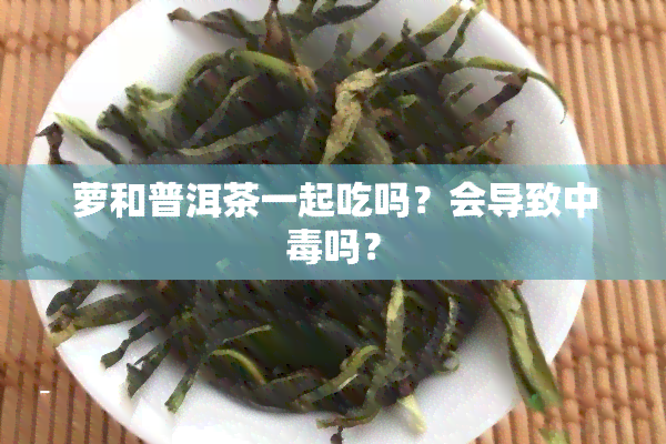 萝和普洱茶一起吃吗？会导致中吗？