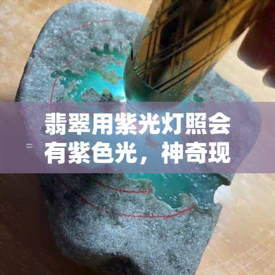 翡翠用紫光灯照会有紫色光，神奇现象：翡翠在紫光灯下会显现出神秘的紫色光芒！