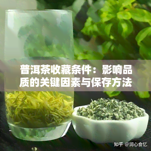 普洱茶收藏条件：影响品质的关键因素与保存方法