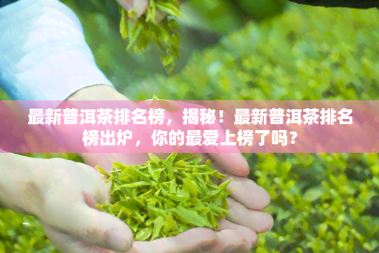 最新普洱茶排名榜，揭秘！最新普洱茶排名榜出炉，你的更爱上榜了吗？