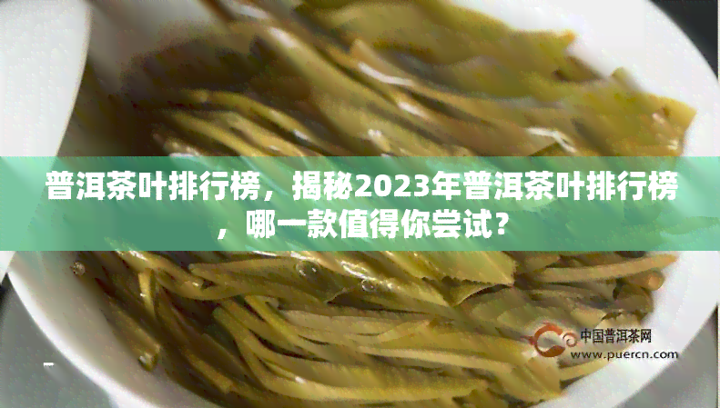 普洱茶叶排行榜，揭秘2023年普洱茶叶排行榜，哪一款值得你尝试？