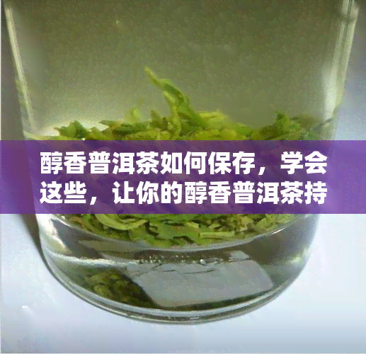 醇香普洱茶如何保存，学会这些，让你的醇香普洱茶持久保！