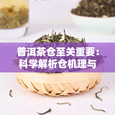 普洱茶仓至关重要：科学解析仓机理与各地特色