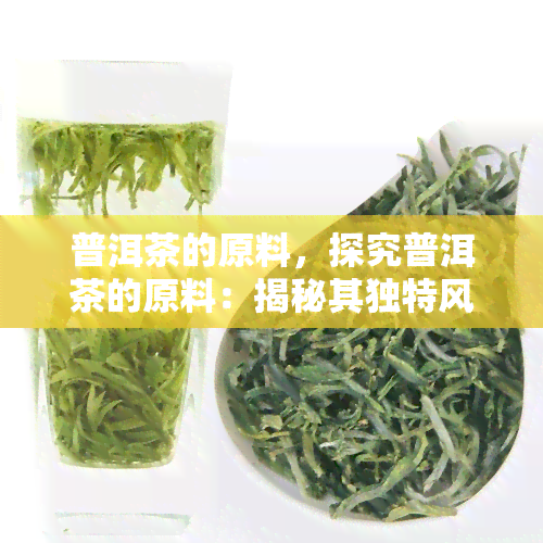 普洱茶的原料，探究普洱茶的原料：揭秘其独特风味的秘密