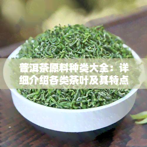 普洱茶原料种类大全：详细介绍各类茶叶及其特点