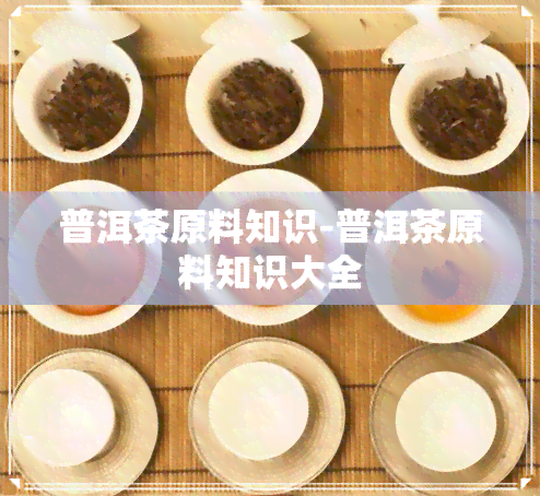 普洱茶原料知识-普洱茶原料知识大全