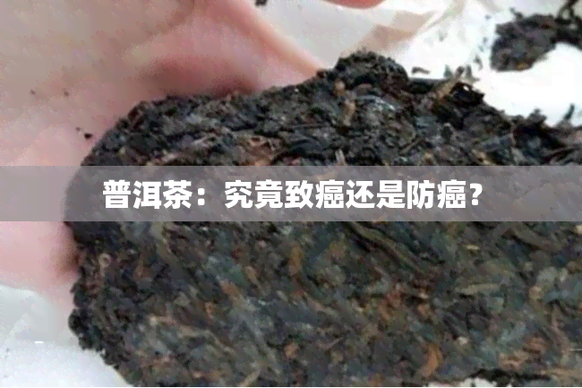 普洱茶：究竟致癌还是防癌？