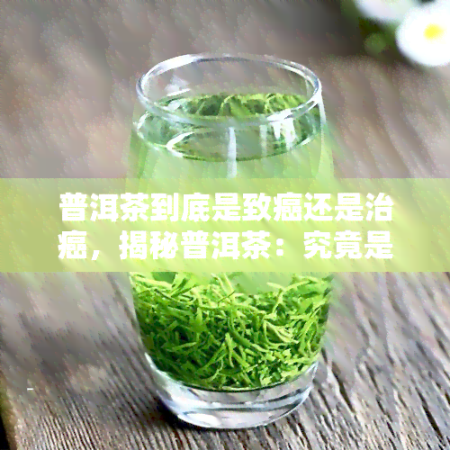 普洱茶到底是致癌还是治癌，揭秘普洱茶：究竟是致癌还是治癌的争议与真相