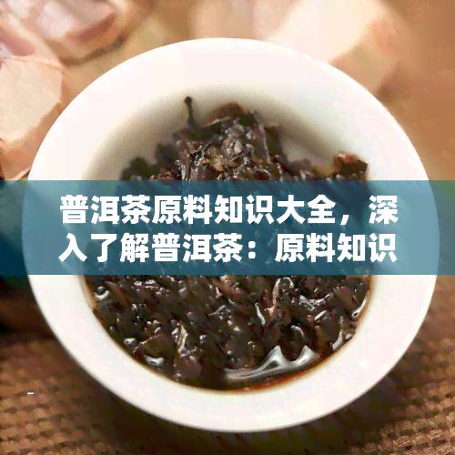 普洱茶原料知识大全，深入了解普洱茶：原料知识大全