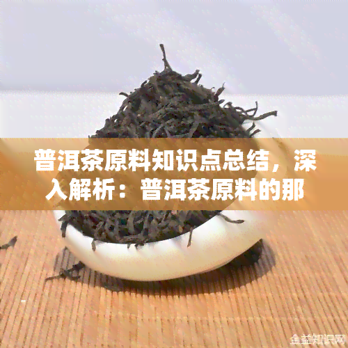 普洱茶原料知识点总结，深入解析：普洱茶原料的那些知识点