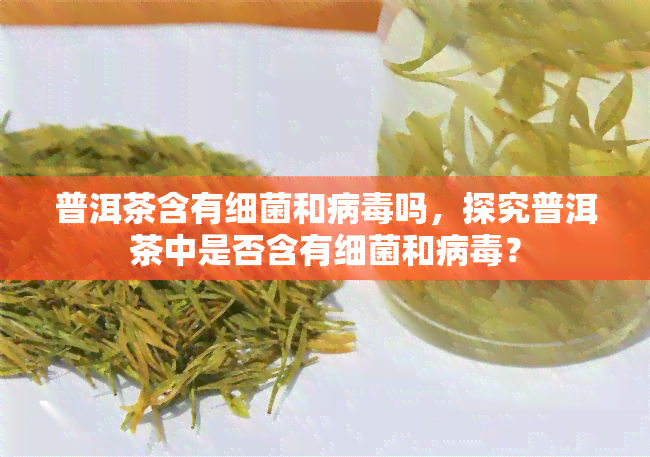 普洱茶含有细菌和病吗，探究普洱茶中是否含有细菌和病？