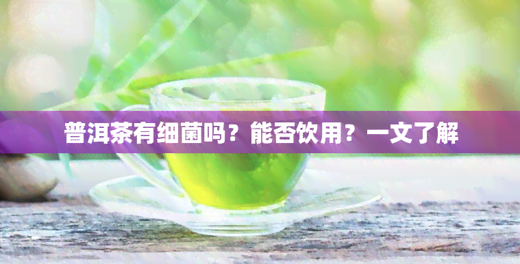 普洱茶有细菌吗？能否饮用？一文了解