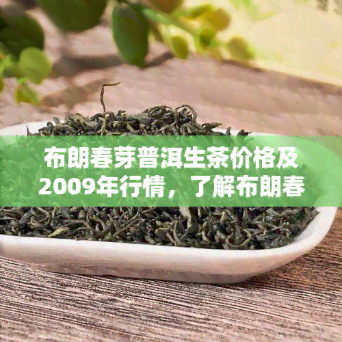 布朗春芽普洱生茶价格及2009年行情，了解布朗春尖的价格信息