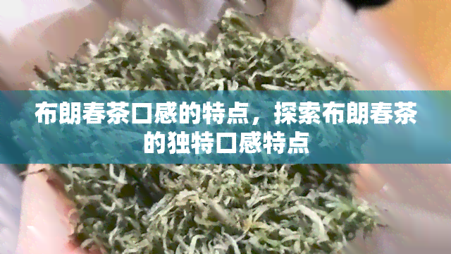 布朗春茶口感的特点，探索布朗春茶的独特口感特点